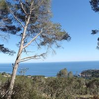 Земельный участок в пригороде, у моря в Испании, Каталония, Жирона