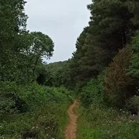 Land plot in Turkey, Istanbul, 575 sq.ft.