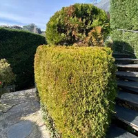 Villa in Turkey, Istanbul, 700 sq.ft.