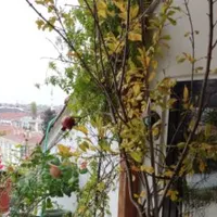 Apartment in Turkey, Istanbul, 275 sq.ft.