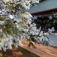 Villa in Turkey, Istanbul, 590 sq.ft.