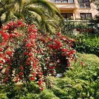 Villa in Turkey, Istanbul, 548 sq.ft.