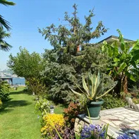 Villa in Turkey, Istanbul, 2442 sq.ft.