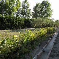 Villa at the seaside in Spain, Comunitat Valenciana, Alicante, 100 sq.m.