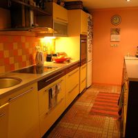 House in the big city in Latvia, Riga, Dreilini, 210 sq.m.