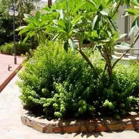 Other commercial property in Turkey, Marmaris