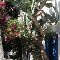 Other commercial property in Turkey, Marmaris