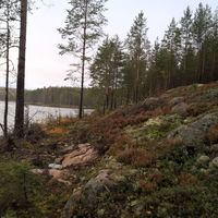 Дом у озера в Финляндии, Руоколахти, 170 кв.м.