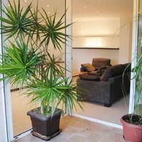 Квартира в Испании, 90 кв.м.