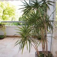 Квартира в Испании, 90 кв.м.