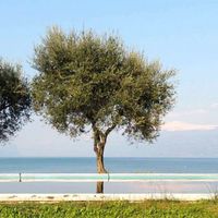 Вилла в Италии, Гарда, 160 кв.м.