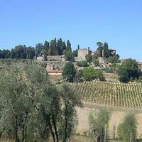 Villa in Italy, Siena, 4600 sq.m.