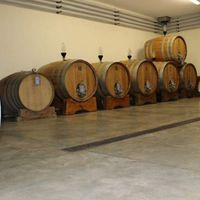 Вилла в Италии, Тоскана, 330 кв.м.