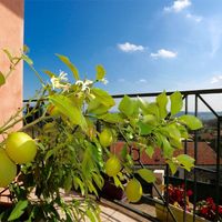 Вилла в Италии, Гарда, 200 кв.м.