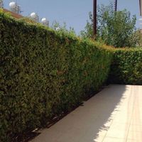 Вилла на Кипре, Лимасол, 154 кв.м.