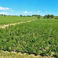 Другая коммерческая недвижимость во Французской Гвиане, 3200 кв.м.