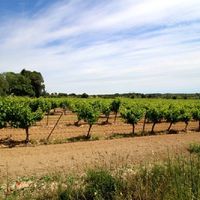 Другая коммерческая недвижимость во Французской Гвиане, 3200 кв.м.