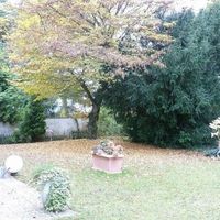 Rental house in Germany, Nordrhein-Westfalen, 239 sq.m.