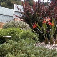 Вилла в Испании, Каталония, Ардиака, 250 кв.м.