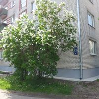 Flat in Latvia, Jurmala, Kaugurciems, 30 sq.m.