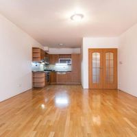 Flat Czechia, Prague, Santoska, 138 sq.m.