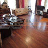 Flat Czechia, Prague, Bubenec, 167 sq.m.