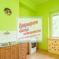 Flat Czechia, Prague, Bubenec, 36 sq.m.