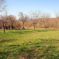 Дом в Болгарии, Бургасская область, 71 кв.м.