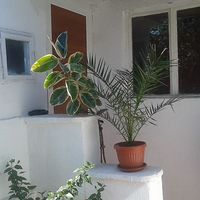 Дом в Болгарии, Бургасская область, 120 кв.м.