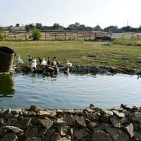 Дом в Болгарии, Несебр, 70 кв.м.