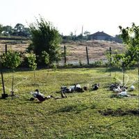 Дом в Болгарии, Несебр, 70 кв.м.