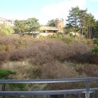 Квартира в Болгарии, Солнечный Берег, 52 кв.м.