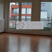 Flat Czechia, Prague, Pitkovicky, 105 sq.m.