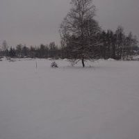 Land plot Czechia, Karlovy Vary Region, Karlovy Vary