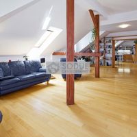 Flat Czechia, Prague, Vokovice, 198 sq.m.