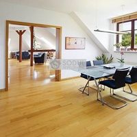 Flat Czechia, Prague, Vokovice, 198 sq.m.