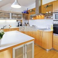 Flat Czechia, Prague, Vokovice, 198 sq.m.