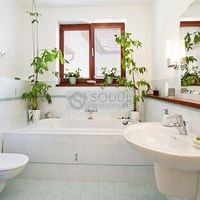 Flat Czechia, Prague, Vokovice, 198 sq.m.