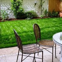 Flat Czechia, Prague, Vinohrady, 230 sq.m.