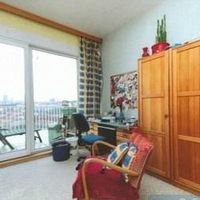 Flat Czechia, Prague, Nusle, 240 sq.m.