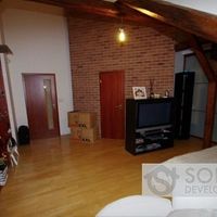 Flat Czechia, Prague, Nusle, 268 sq.m.