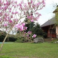 House Czechia, Prague, Sychrov, 245 sq.m.