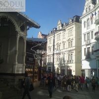 Flat Czechia, Karlovy Vary Region, Karlovy Vary, 160 sq.m.