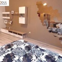 Flat Czechia, Prague, Zizkov, 55 sq.m.