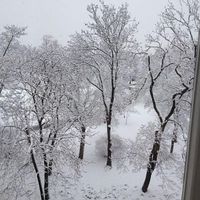 Flat Czechia, Prague, Vinohrady, 94 sq.m.