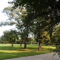 Flat Czechia, Prague, Vinohrady, 94 sq.m.