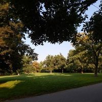 Flat Czechia, Prague, Vinohrady, 94 sq.m.