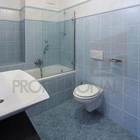 Flat Czechia, Prague, Santoska, 121 sq.m.
