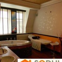 Flat Czechia, Karlovy Vary Region, Karlovy Vary, 165 sq.m.