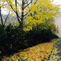 Квартира в Чехии, Карловарский край, Карловы Вары